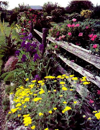 Guelph Garden